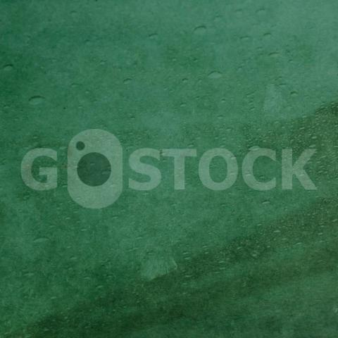 Beautiful green texture with raindrops 24972 154 jpg